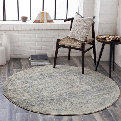 Harput Gray Rug - Chapin Furniture