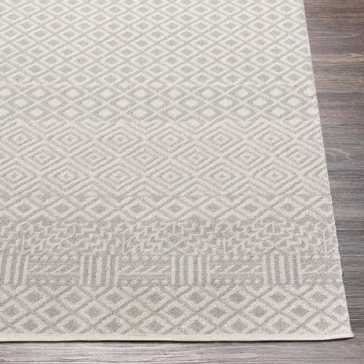 Lavadora Rug-2321 - Chapin Furniture