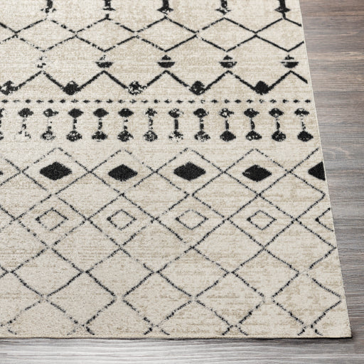 Lavadora Rug-2336 - Chapin Furniture