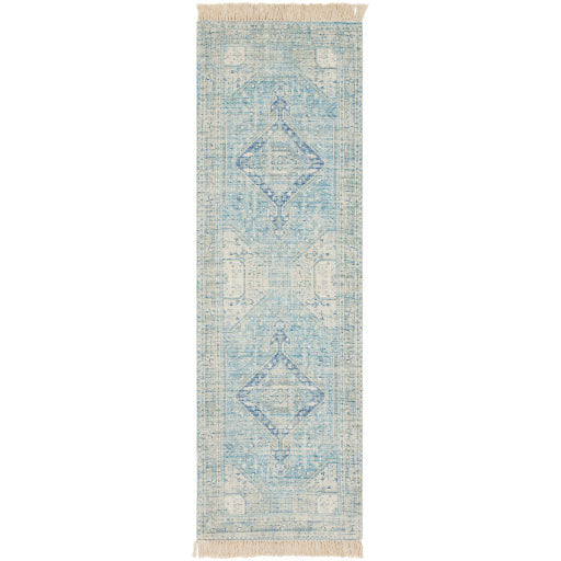Zainab Sky Blue II Rug - Chapin Furniture