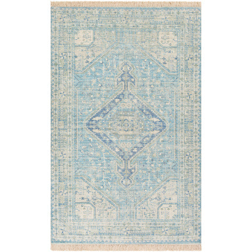 Zainab Sky Blue II Rug - Chapin Furniture