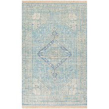 Zainab Sky Blue II Rug - Chapin Furniture