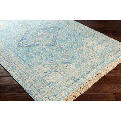 Zainab Sky Blue II Rug - Chapin Furniture