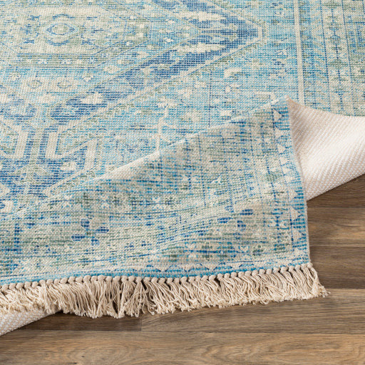 Zainab Sky Blue II Rug - Chapin Furniture