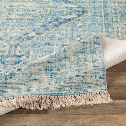 Zainab Sky Blue II Rug - Chapin Furniture