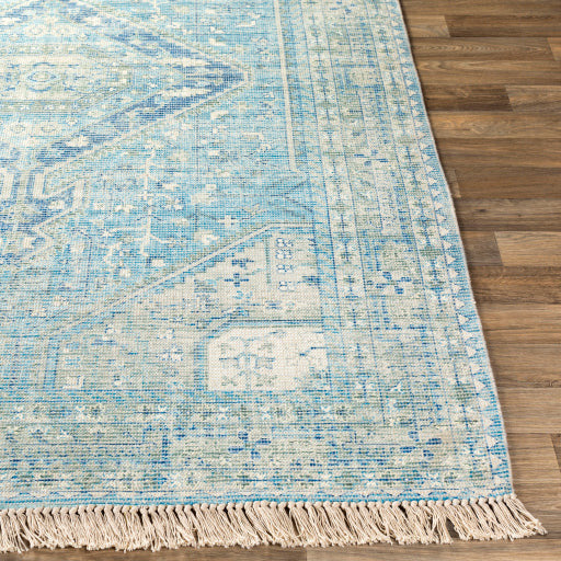 Zainab Sky Blue II Rug - Chapin Furniture