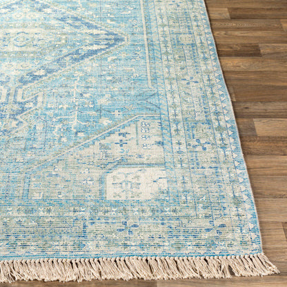 Zainab Sky Blue II Rug - Chapin Furniture