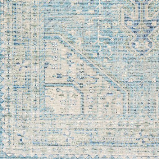 Zainab Sky Blue II Rug - Chapin Furniture